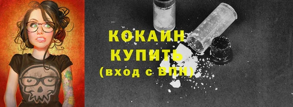 ALPHA-PVP Каменка