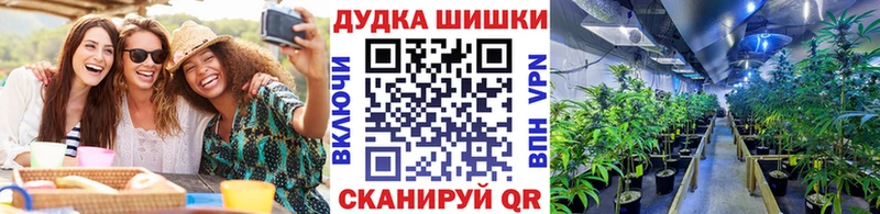 Канабис Amnesia  Купить закладки  Бологое 